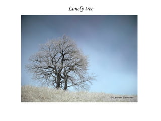 Infrared photography and microstock