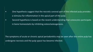 • One hypothesis suggest that the necrotic coronal part of the infected pulp provides
a stimulus for inflammation in the apical part of the pulp.
• Second hypothesis is based on the recent understanding that osteocytes participate
in bone homeostatis by inhibiting osteoclasteogenesis.
The symptoms of acute or chronic apical periodontitis may be seen after the entire pulp has
undergone necrosis and the pulp space has become infected.
 
