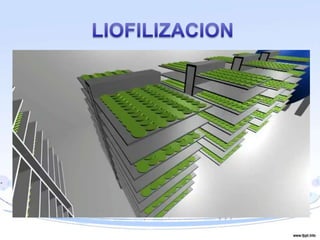 Irradiacion de alimentos | PPTX