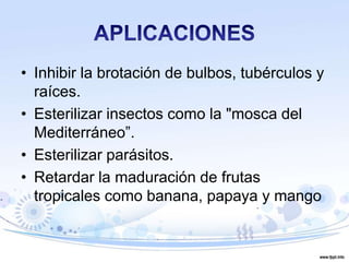 Irradiacion de alimentos | PPTX