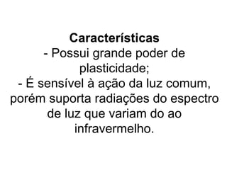 Características
      - Possui grande poder de
             plasticidade;
 - É sensível à ação da luz comum,
porém suporta radiações do espectro
       de luz que variam do ao
            infravermelho.
 