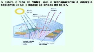 Irradiação