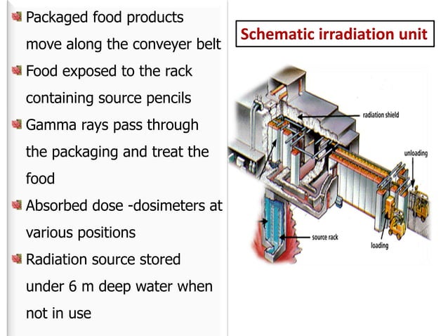 Application of irradiation technology in food industry | PDF ...