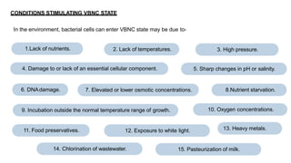 CONDITIONS STIMULATING VBNC STATE
In the environment, bacterial cells can enter VBNC state may be due to-
1.Lack of nutrients. 2. Lack of temperatures. 3. High pressure.
4. Damage to or lack of an essential cellular component. 5. Sharp changes in pH or salinity.
8.Nutrient starvation.
9. Incubation outside the normal temperature range of growth. 10. Oxygen concentrations.
6. DNAdamage. 7. Elevated or lower osmotic concentrations.
11. Food preservatives.
14. Chlorination of wastewater.
12. Exposure to white light. 13. Heavy metals.
15. Pasteurization of milk.
 