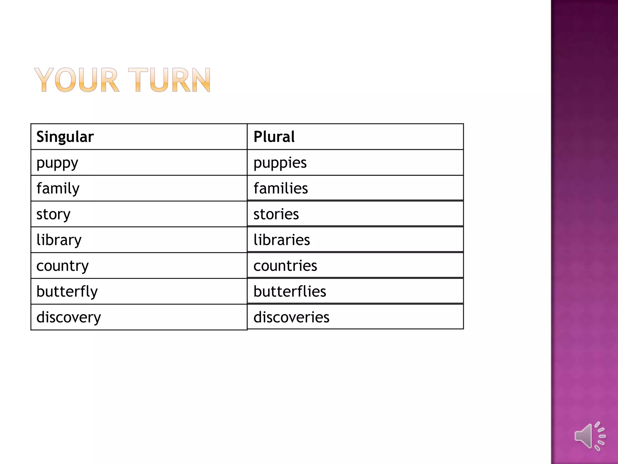Singular    Plural
puppy       puppies
family      families
story       stories
library     libraries
country     countries
butterfly   butterflies
discovery   discoveries
 