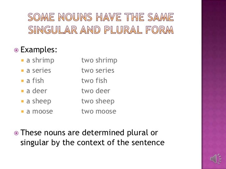 Irregular Plural Nouns