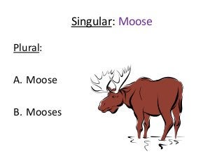 Irregular plurals and irregular past tense