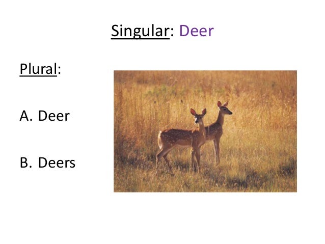 Irregular plurals and irregular past tense