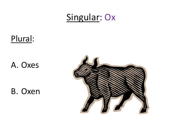 Ox Plural Form Plural Of 2020 04 17