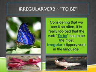 IRREGULAR VERB ~ “TO BE”

             Considering that we
              use it so often, it is
            really too bad that the
            verb “To be” has to be
                    the most
           irregular, slippery verb
               in the language.
 