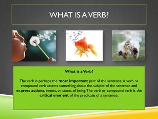 WHAT IS A VERB?




                             What is a Verb?

  The verb is perhaps the most important part of the sentence. A verb or
   compound verb asserts something about the subject of the sentence and
express actions, events, or states of being. The verb or compound verb is the
               critical element of the predicate of a sentence.
 