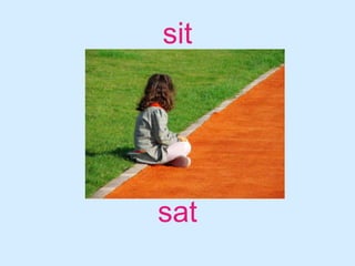 sitsat