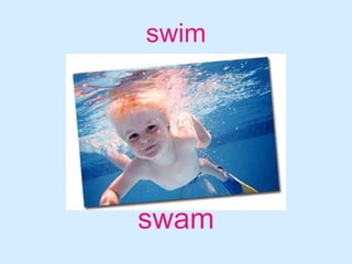 swimswam