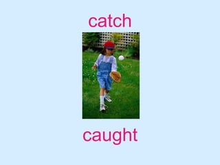 catchcaught