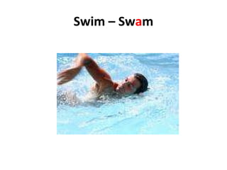Swim – Sw a m 