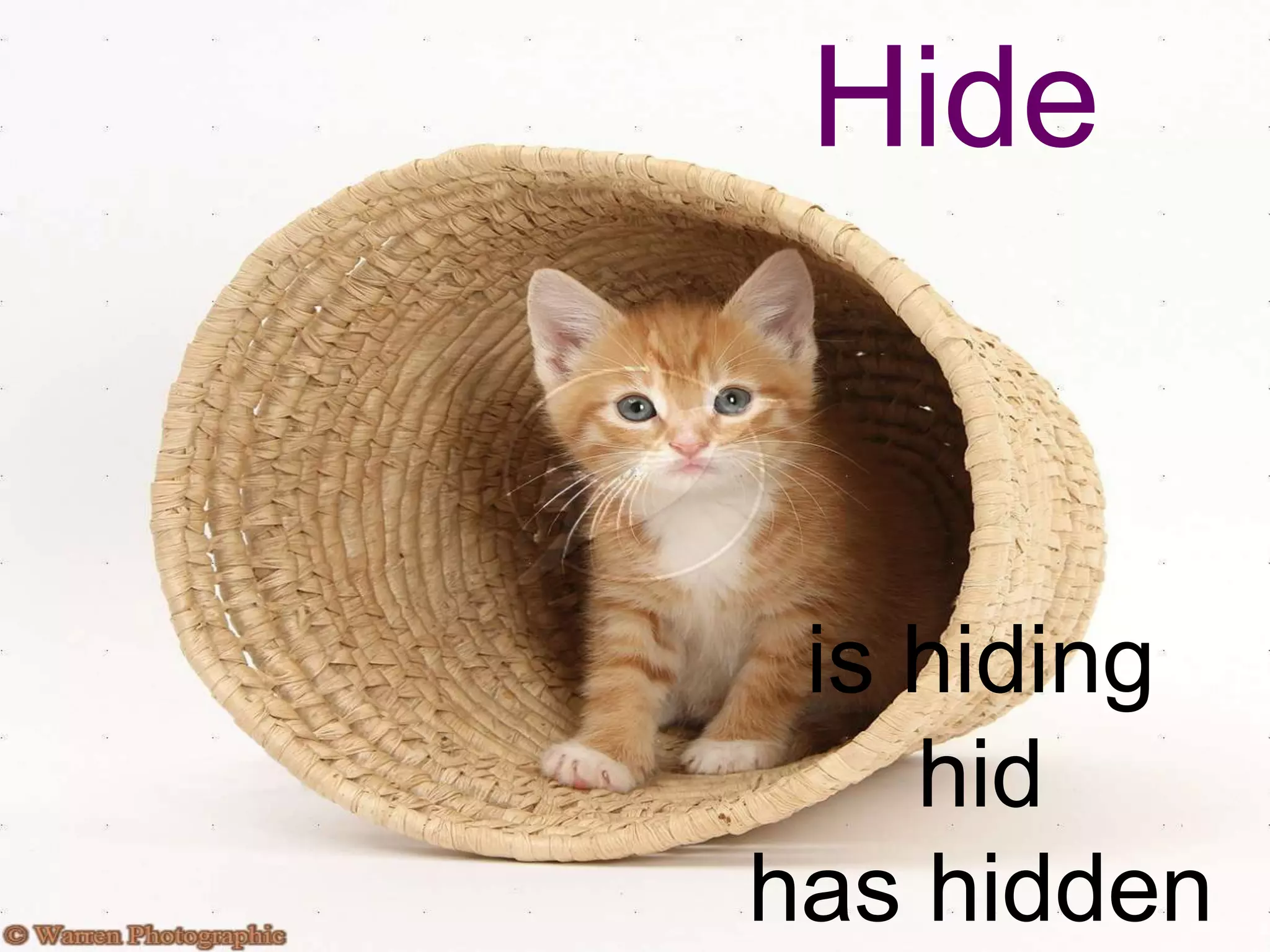Hide


 is hiding
    hid
has hidden
 