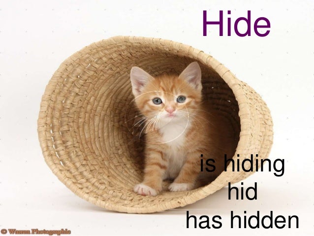 Hidhide