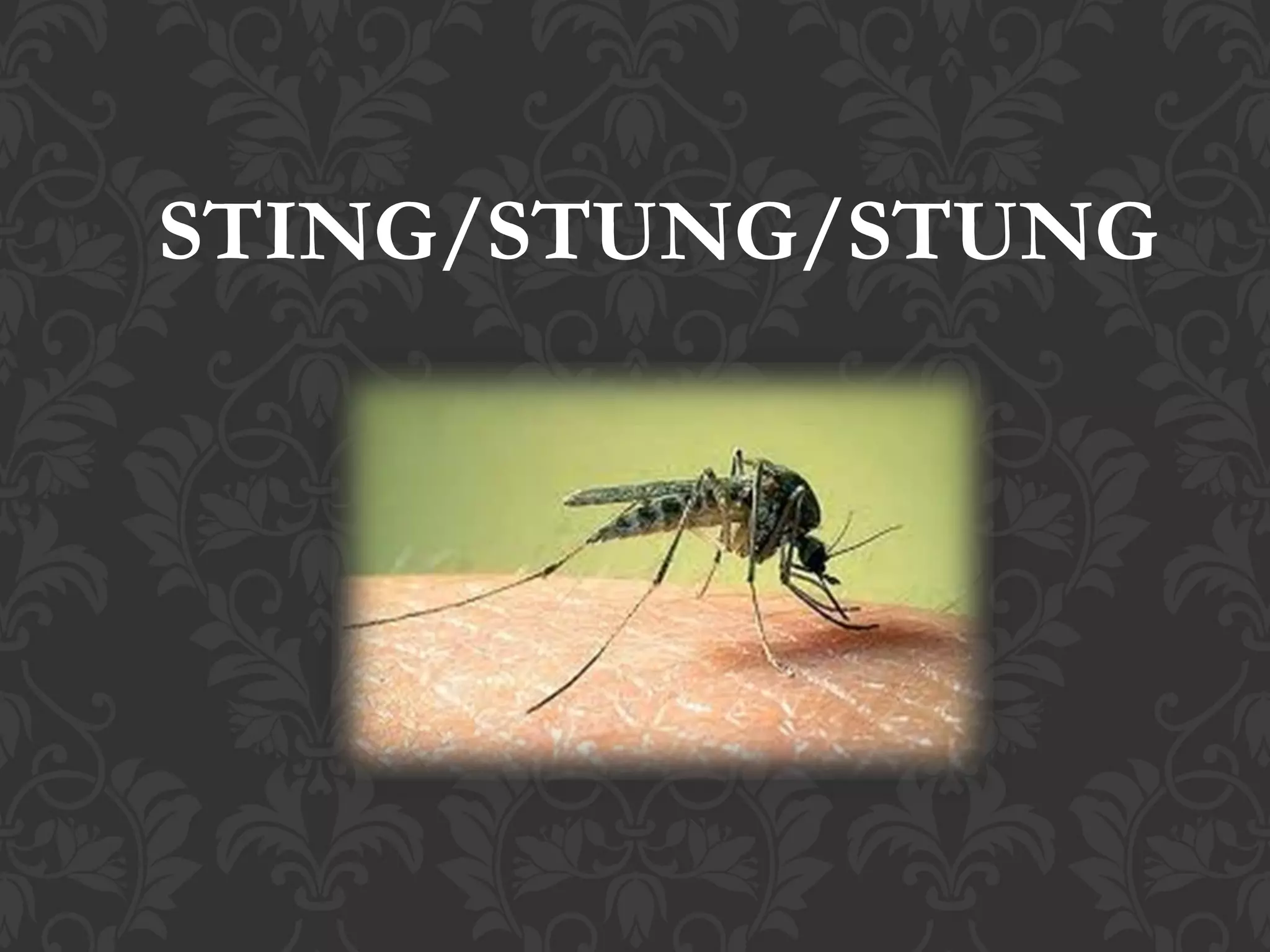 Irregular Verbs PDF irregular-verbs-pdf