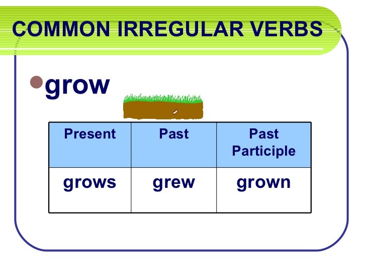 Irregular verbs practice (examples of helping verbs)