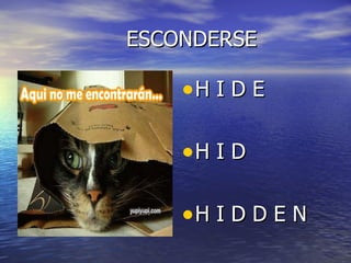 ESCONDERSE H I D E H I D H I D D E N 