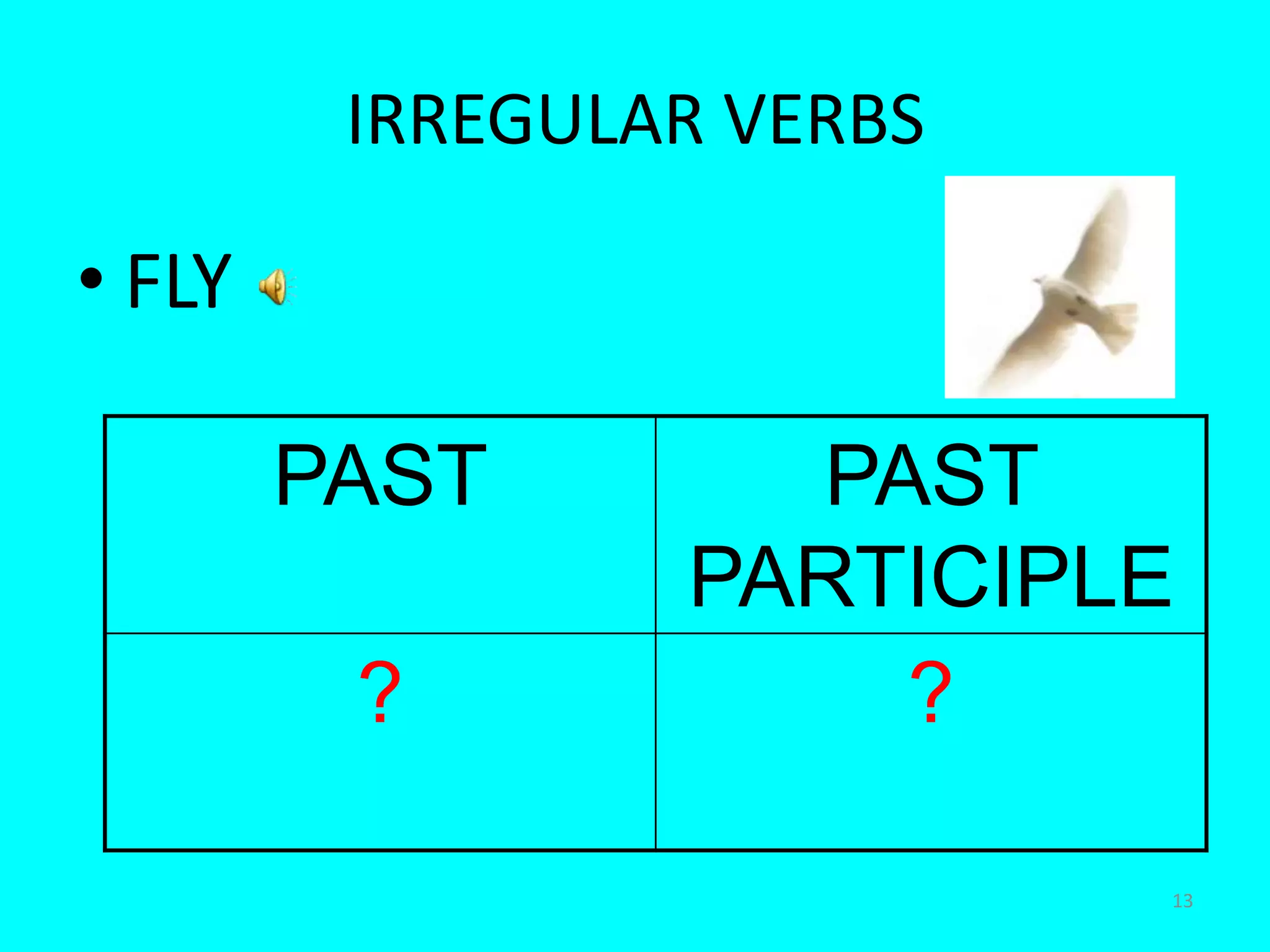 13IRREGULAR VERBSFLY