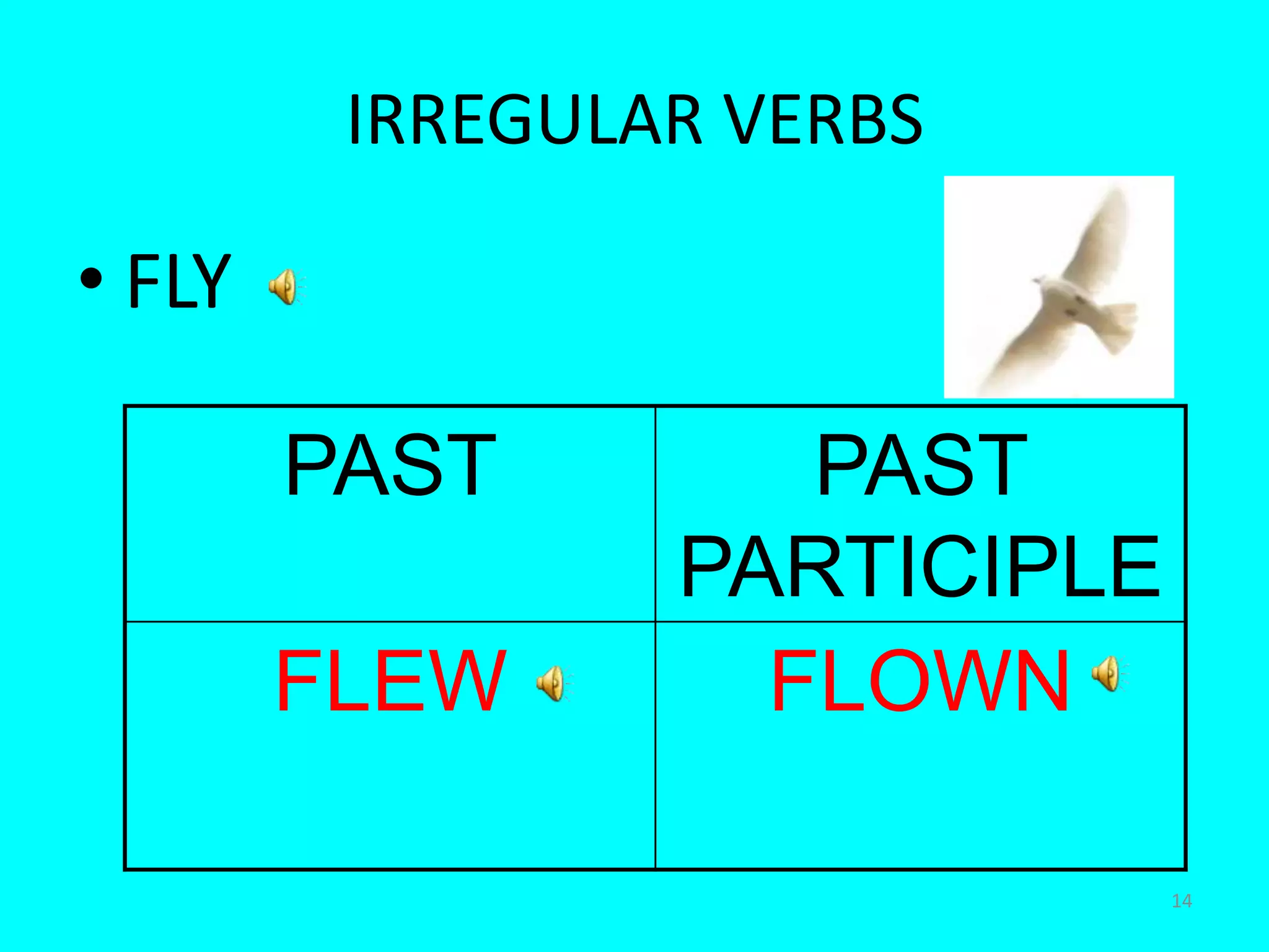 14IRREGULAR VERBSFLY