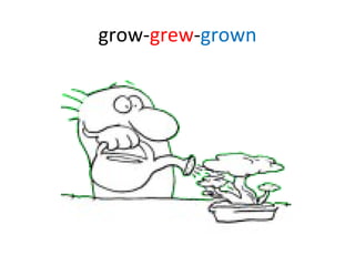 grow- grew - grown 
