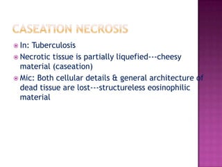 LIQUEFACTIVE NECROSISIn: centers of pyogenic abscessamoebiasisinfarcts of C.N.S.Necrotic tissue---completely liquified---turbid fluid----absorbed----space	Ex:		    Brain - infarction Amoebiasis ---liver 
