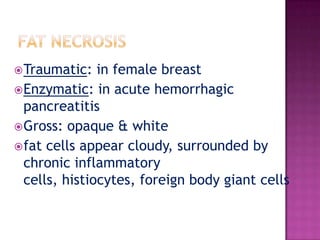 CASEATION NECROSISIn: TuberculosisNecrotic tissue is partially liquefied---cheesy material (caseation)Mic: Both cellular details & general architecture of dead tissue are lost---structurelesseosinophilic material