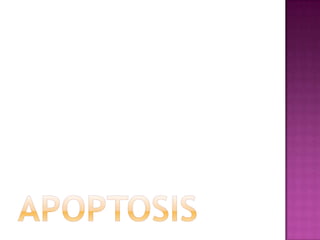 FAT NECROSISTraumatic: in female breastEnzymatic: in acute hemorrhagic pancreatitisGross: opaque & whitefat cells appear cloudy, surrounded by chronic inflammatory cells, histiocytes, foreign body giant cells      