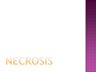 NECROSIS
