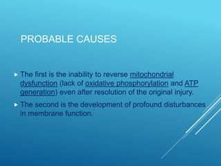 PROBABLE CAUSES
 The first is the inability to reverse mitochondrial
dysfunction (lack of oxidative phosphorylation and ATP
generation) even after resolution of the original injury.
 The second is the development of profound disturbances
in membrane function.
 