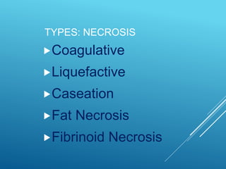 TYPES: NECROSIS
Coagulative
Liquefactive
Caseation
Fat Necrosis
Fibrinoid Necrosis
 