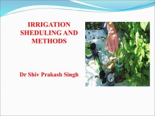 IRRIGATION
SHEDULING AND
METHODS
Dr Shiv Prakash Singh
 