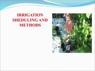 IRRIGATION
SHEDULING AND
METHODS
 