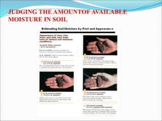 JUDGING THE AMOUNTOF AVAILABLE
MOISTURE IN SOIL
 