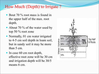 How Much (Depth) to Irrigate ?
 Bout 70 % root mass is found in
the upper half of the max. root
depth.
 About 70 % of the water used by
top 50 % root zone
 Normally, 01 cm water irrigated
to 4-5 cm soil depth in loam soil,
but in sandy soil it may be more
than 5 cm.
 In case 60 cm root depth,
effective root zone will be 30 cm
and irrigation depth will be 30/5
means 6 cm.
 
