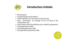 Irridoids.pptx