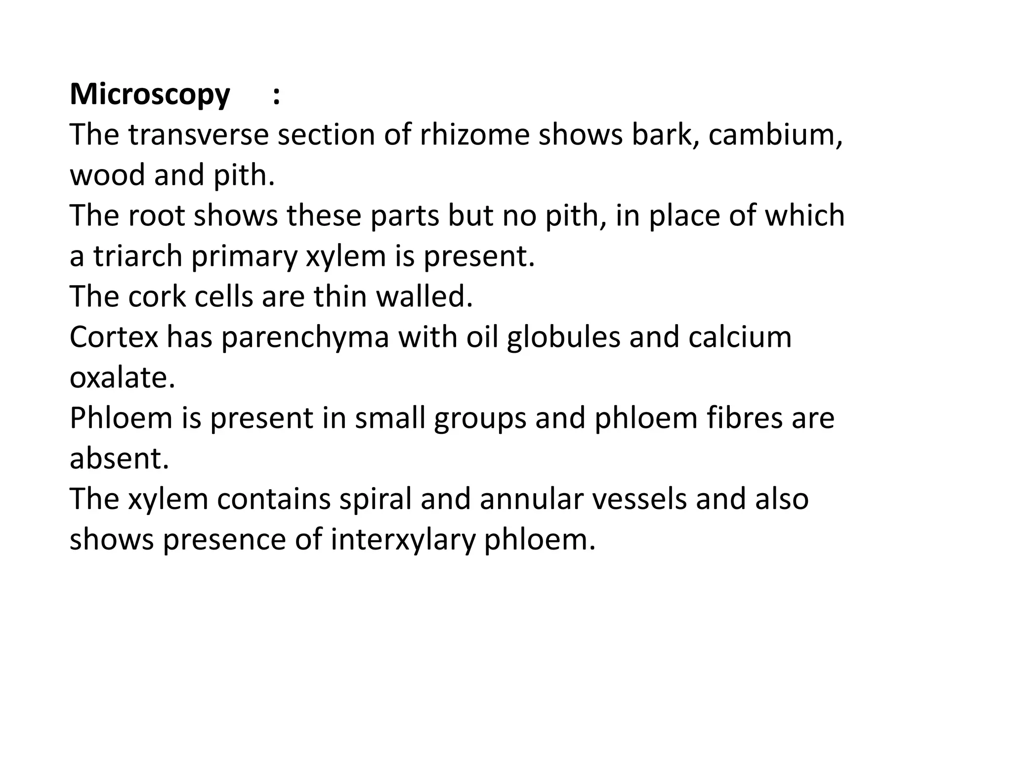 Microscopy :
The transverse section of rhizome shows bark, cambium,
wood and pith.
The root shows these parts but no pith, in place of which
a triarch primary xylem is present.
The cork cells are thin walled.
Cortex has parenchyma with oil globules and calcium
oxalate.
Phloem is present in small groups and phloem fibres are
absent.
The xylem contains spiral and annular vessels and also
shows presence of interxylary phloem.
 