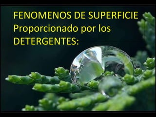 FENOMENOS DE SUPERFICIE
Proporcionado por los
DETERGENTES:
 