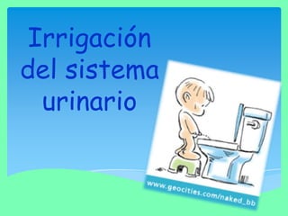 Irrigación
del sistema
urinario

 