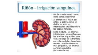 Irrigación