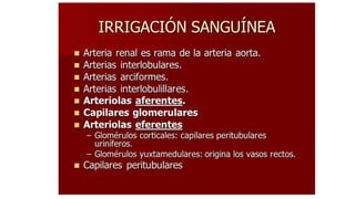 Irrigación