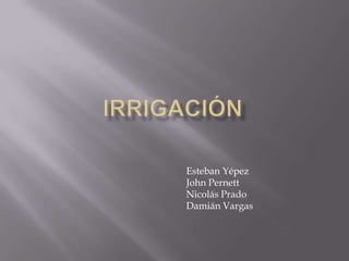 Irrigación Esteban Yépez John Pernett Nicolás Prado Damián Vargas 