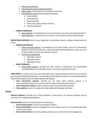  Arterias yeyunoileales.
 Cólica derecha superior (ángulo derecho)
 Cólica media: se encuentra en el mesocolon transverso.
 Cólica derecha inferior (ileocecoapendiculocólica):
 Cecal anterior
 Cecal posterior
 Recurrente ileal
 Ramo cólico (cólica derecha inferior)
 Arteria apendicular
o RAMAS TERMINALES:
 Rama derecha: se anastomosa con la recurrente ileal, rama de la cólica derecha inferior
 Rama izquierda: se anastomosa con la última rama ileal de las arterias yeyunoileales.
- MESENTERICA INFERIOR: nace 5 cm por debajo de la mesentérica superior y dirige se abajo dando sus
ramas.
o RAMAS COLATERALES:
 Cólica izquierda superior: se anastomosa con la cólica media, rama de la mesentérica
superior, y forma la anastomosis máxima de Haller (Arco de Riolano), a veces no es con
la cólica media y si con la cólica derecha superior.
 Tronco de las sigmoideas
 Sigmoidea superior
 Sigmoidea media
 Sigmoidea inferior
o RAMA TERMINAL:
 Hemorroidal superior: principal del recto, forma la anastomosis Ima (anastomosis
rectosigmoidea) con la sigmoidea inferior, rama de la mesentérica inferior.
- VENA PORTA: la unión de tres venas que salen detrás de la cabeza del páncreas forman la vena porta,
que hace parte del pedículo hepático, y cuando llega al hilio hepático se divide en rama izquierda (lóbulo
izquierdo del hígado) y derecha (lóbulo derecho del hígado).
o Vena mesentérica superior: formada por las venas cólica derecha superior y la
ileocecoapendiculocólica, que recorren toda la sangre venosa del colon derecho.
o Vena mesentérica inferior: recorren toda la sangre venosa del colon izquierdo.
o Vena esplénica: recorre la sangre de la tuberosidad del estómago y del bazo.
EXTRAS:
- Pedículo Hepático: formado por la arteria hepática, la vena porta y el conducto colédoco, que se
encuentra en el epiplón gastrohepático.
- Hemorroidales: (las tres se anastomosa en la submucosa)
o Hemorroidal Superior: rama de la mesentérica inferior.
o Hemorroidal Media: rama de la hipogástrica o uretra externa, que se va a los órganos genitales
internos y no al recto.
o Hemorroidal inferior: rama de la pudenda interna, que es rama de la arteria hipogástrica.
 