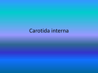 Carotida interna
 