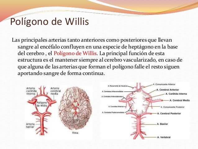 Duele el cuello de la parte derecha y da en la cabeza y la oreja