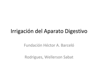 Irrigación del Aparato Digestivo Fundación Héctor A. Barceló Rodrigues, Wellerson Sabat 