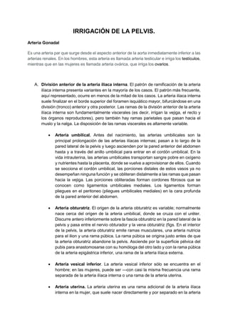 IRRIGACIÓN DE LA PELVIS.
Arteria Gonadal
Es una arteria par que surge desde el aspecto anterior de la aorta inmediatamente inferior a las
arterias renales. En los hombres, esta arteria es llamada arteria testicular e irriga los testículos,
mientras que en las mujeres es llamada arteria ovárica, que irriga los ovarios.
A. División anterior de la arteria ilíaca interna. El patrón de ramificación de la arteria
ilíaca interna presenta variantes en la mayoría de los casos. El patrón más frecuente,
aquí representado, ocurre en menos de la mitad de los casos. La arteria ilíaca interna
suele finalizar en el borde superior del foramen isquiático mayor, bifurcándose en una
división (tronco) anterior y otra posterior. Las ramas de la división anterior de la arteria
ilíaca interna son fundamentalmente viscerales (es decir, irrigan la vejiga, el recto y
los órganos reproductores), pero también hay ramas parietales que pasan hacia el
muslo y la nalga. La disposición de las ramas viscerales es altamente variable.
 Arteria umbilical. Antes del nacimiento, las arterias umbilicales son la
principal prolongación de las arterias ilíacas internas; pasan a lo largo de la
pared lateral de la pelvis y luego ascienden por la pared anterior del abdomen
hasta y a través del anillo umbilical para entrar en el cordón umbilical. En la
vida intrauterina, las arterias umbilicales transportan sangre pobre en oxígeno
y nutrientes hasta la placenta, donde se vuelve a aprovisionar de ellos. Cuando
se secciona el cordón umbilical, las porciones distales de estos vasos ya no
desempeñan ninguna función y se obliteran distalmente a las ramas que pasan
hacia la vejiga. Las porciones obliteradas forman cordones fibrosos que se
conocen como ligamentos umbilicales mediales. Los ligamentos forman
pliegues en el peritoneo (pliegues umbilicales mediales) en la cara profunda
de la pared anterior del abdomen.
 Arteria obturatriz. El origen de la arteria obturatriz es variable; normalmente
nace cerca del origen de la arteria umbilical, donde se cruza con el uréter.
Discurre antero inferiormente sobre la fascia obturatriz en la pared lateral de la
pelvis y pasa entre el nervio obturador y la vena obturatriz (figs. En el interior
de la pelvis, la arteria obturatriz emite ramas musculares, una arteria nutricia
para el ilion y una rama púbica. La rama púbica se origina justo antes de que
la arteria obturatriz abandone la pelvis. Asciende por la superficie pélvica del
pubis para anastomosarse con su homóloga del otro lado y con la rama púbica
de la arteria epigástrica inferior, una rama de la arteria ilíaca externa.
 Arteria vesical inferior. La arteria vesical inferior sólo se encuentra en el
hombre; en las mujeres, puede ser —con casi la misma frecuencia una rama
separada de la arteria ilíaca interna o una rama de la arteria uterina.
 Arteria uterina. La arteria uterina es una rama adicional de la arteria ilíaca
interna en la mujer, que suele nacer directamente y por separado en la arteria
 
