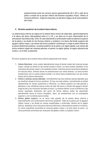 posteriormente entre los nervios sacros (generalmente S2 y S3) y sale de la
pelvis a través de la porción inferior del foramen isquiático mayor, inferior al
músculo piriforme . Irriga los músculos y la piel de la nalga y de la cara posterior
del muslo.
B. División posterior de la arteria ilíaca interna.
La arteria ilíaca interna se origina en la arteria ilíaca común de cada lado, aproximadamente
a la altura del disco intervertebral entre LV y SI, y se sitúa en la cara inferomedial de la
articulación sacroilíaca (fig. 5.64). El vaso desciende a continuación sobre la abertura superior
de la pelvis y se divide en los troncos anterior y posterior a la altura del borde superior del
agujero ciático mayor. Las ramas del tronco posterior contribuyen a irrigar la parte inferior de
la pared abdominal posterior, la pared posterior de la pelvis y la región glútea. Las ramas del
tronco anterior irrigan las vísceras pélvicas, el periné, la región glútea, la región aductora del
muslo y, en el feto, la placenta.
El tronco posterior de la arteria ilíaca interna desprende tres ramas:
1. Arteria Iliolumbar: corre antero lateralmente hacia el borde medio del músculo psoas
mayor, donde se divide en las ramas lumbar e ilíaca. La rama lumbar abastece a los
músculos del psoas mayor y el cuadrado lumbar, mientras que la rama ilíaca abastece
al músculo ilíaco. Ambas ramas se anastomosan con otras arterias. La rama lumbar
anastomosa con la cuarta arteria lumbar y la rama ilíaca anastomosa con las ramas
ilíacas de la arteria obturadora.
2. Arteria o arterias sacras laterales: normalmente hay dos arterias sacras laterales que
se ramifican desde el tronco posterior. Si hay una sola arteria, normalmente se divide
rápidamente en ramas superiores e inferiores. La arteria superior es más grande y
abastece a las vértebras sacras antes de salir del sacro a través del agujero dorsal.
Irriga la piel y los músculos dorsales al sacro. La arteria inferior cruza el piriforme y las
ramas espinales anteriores del sacro de forma oblicua antes de descender
lateralmente hacia el tronco simpático. Aquí, se anastomosa con la contraparte
superior y con la arteria sacra medial.
3. Arteria glútea superior: es la rama más grande de la arteria ilíaca interna y
esencialmente una continuación del tronco posterior. Sale de la pelvis por el agujero
ciático mayor y se divide en ramas superficiales y profundas. Dentro de la región
pélvica, abastece a los músculos internos piriformes y obturadores (externo e interno).
La rama superficial suministra el músculo glúteo mayor y la piel sobre el sacro. La
rama profunda suministra los músculos del glúteo medio y el glúteo menor.
 